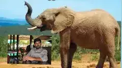 Elephant attack | ఏనుగుల దాడిలో సీఎం బంధువు మృతి