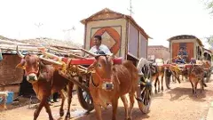 జహీరాబాద్ జిల్లాలో తెలంగాణ ‘పాతపంటల జాతర’