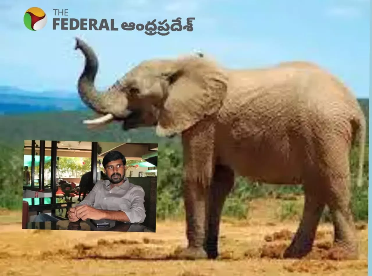 Elephant attack | ఏనుగుల దాడిలో సీఎం బంధువు మృతి