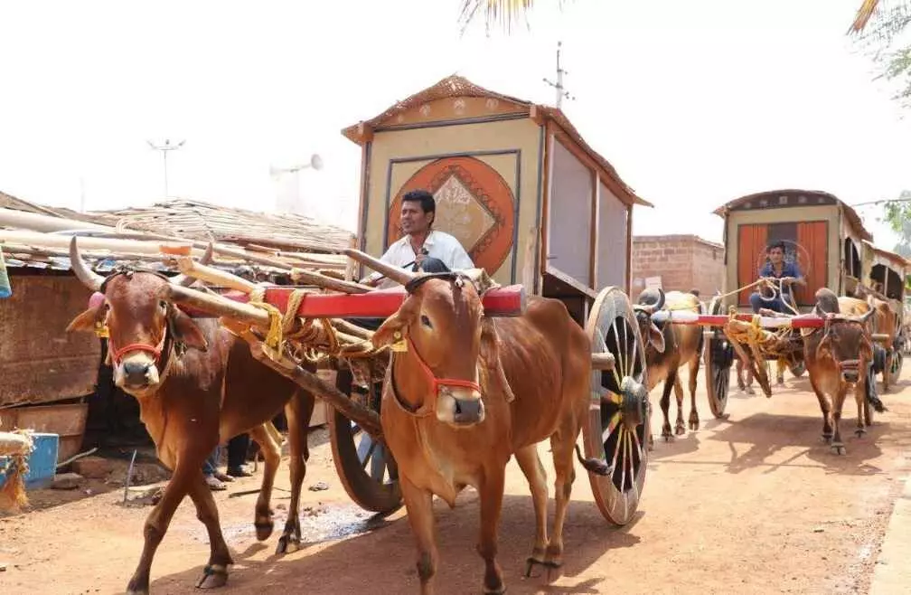 జహీరాబాద్ జిల్లాలో తెలంగాణ ‘పాతపంటల జాతర’