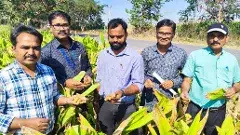 GI TAG | ఆర్మూర్ పసుపు రైతులకు మరో శుభవార్త,త్వరలో జీఐ ట్యాగ్