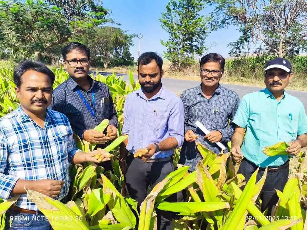 GI TAG | ఆర్మూర్ పసుపు రైతులకు మరో శుభవార్త,త్వరలో జీఐ ట్యాగ్