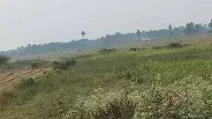 ఈ భూమిని రెవెన్యూ గద్దలు ఎత్తుకెళ్లాయి