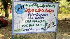 ‘భావనపాడు బీలల్లో విధ్వంసక లీలలు వద్దు’