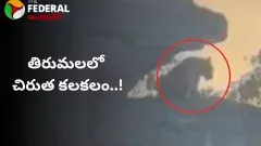 Leopard Spotted At Tirumala || తిరుమలలో చిరుత కలకలం..!