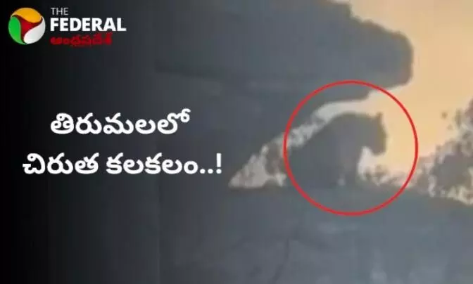 Leopard Spotted At Tirumala || తిరుమలలో చిరుత కలకలం..!