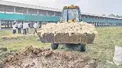 Poultry|కళ్లు తేలేసి చనిపోతున్న కోళ్లు