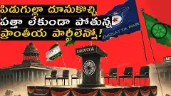 పిడుగుల్లా దూసుకొచ్చి పత్తా లేకుండా పోతున్న ప్రాంతీయ పార్టీలెన్నో!