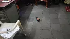 Telangana | కోర్టులో జడ్జీపైకి చెప్పు విసిరిన దోషి