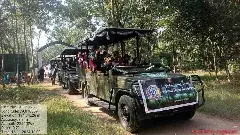 Telangana Jungle Safari | కవ్వాల్ అభయారణ్యం అందాలు తిలకిద్దాం రండి