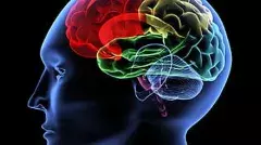 ఎపిలో బ్రెయిన్ హెల్త్ ఇనిషియేటివ్ ప్రోగ్రామ్