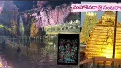 Mahashivratri Brahmasavam |మాఘమాసం వచ్చింది.. శివరాత్రిని తెచ్చింది