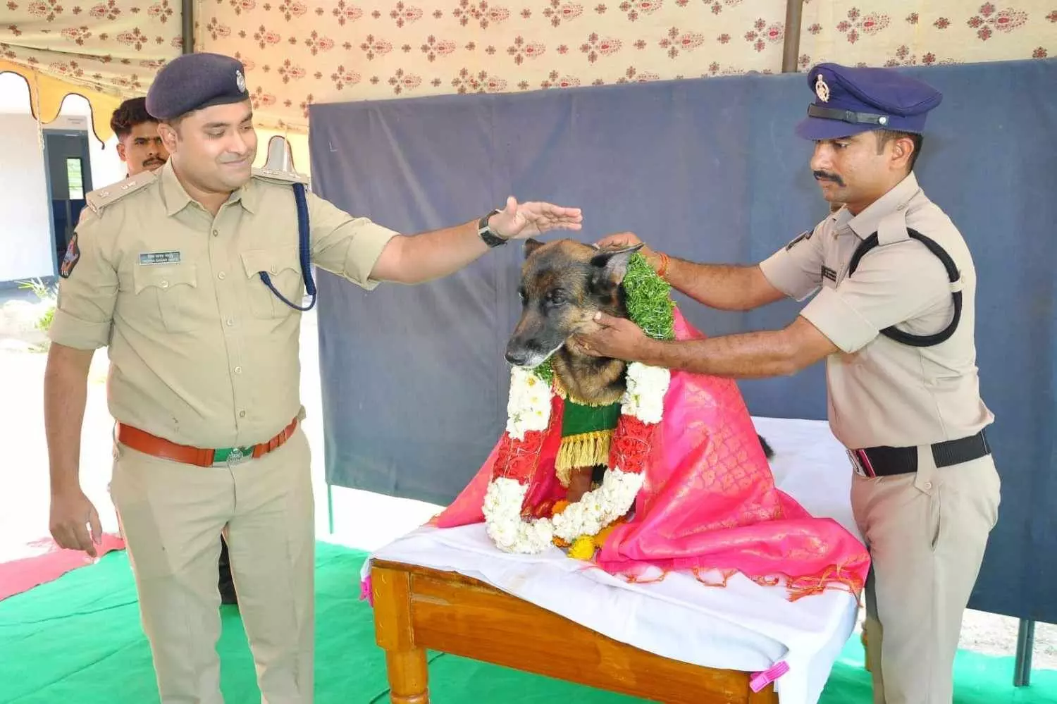 పోలీస్ జాగిలానికి  ఎస్పీ ఘనంగా సన్మానం