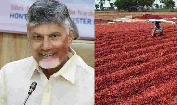 మిర్చి రైతుకు కాస్తంత ఊరట.. కేంద్రం హామీ