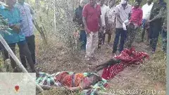 శేషాచలం అడవిలో ఘోరం.. ఏనుగుల దాడిలో ముగ్గురి మృతి