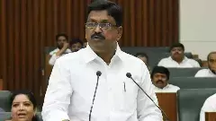 ఆంధ్రా బడ్జెట్: పగటి వేషగాళ్ళ కోతల్లాగా ఉంది