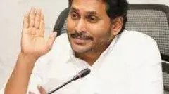 పవన్‌ కల్యాణ్‌ కార్పొరేటర్‌కు ఎక్కువ..ఎమ్మెల్యేకు తక్కువ