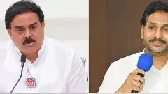 జగన్, నువ్వు కోడికత్తికి ఎక్కువ.. గొడ్డలికి తక్కువ!!