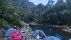 శేషాచలం అడవిలో రాత్రి బస చేసేందుకు గుడారాలు