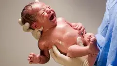 అమ్మాయి పుడితే ఖమ్మం కలెక్టర్ స్వీట్ బాక్సు బహుమతి