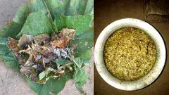 చీమలే అక్కడ  పరమాన్నం!