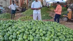 పండు దళారులకు, పుండు రైతులకు