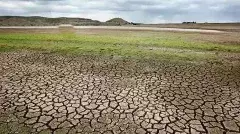 37 మండలాల్లో తీవ్ర కరువు