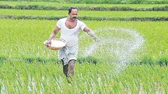 రైతులపై రసాయన ఎరువుల ప్రభావం!