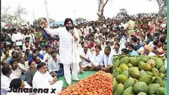 సీమలో నామినేటెడ్  లడాయి.. జనసేన v/s టీడీపీ