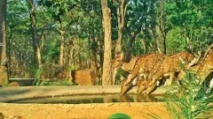 అడవుల్లో వన్యప్రాణుల దాహార్తి తీరుస్తున్నదిలా...