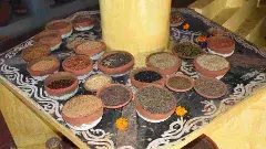 చిరు ధాన్యాలే మాచునూర్ బ్యాంక్ సిరిసంపదలు