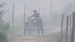 ఢిల్లీ వాయు కాలుష్యం: ‘మెట్రో సేవల విస్తరణ, నిర్మాణ రంగంపై ఆంక్షలు’