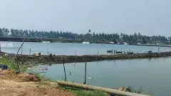 దిక్కుతోచని ఆక్వా  రైతులు