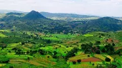 అందుకే పవన్‌ మహా సూర్య నమస్కారాలకు వెళ్లలేదా?