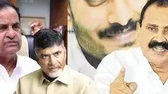 మూగ జీవాల మరణ వేదన- టీటీడీలో రాజకీయ రోదన