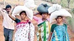 ఉచిత బియ్యం పథకాలు ఎన్ని ఉన్నాయో తెలుసా?