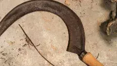 హైదరాబాద్ శివార్లలో దారుణం