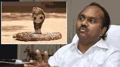 TIRUPATI || తిరుపతిలోని టీటీడీ ఈవో బంగ్లాలోకి దూరిన పాము..!