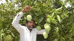 తెలంగాణలో పునర్జన్మ ఎత్తిన ‘ఫ్రూట్ ఫారం’