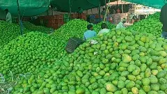 తెలంగాణ మామిడి రైతులకు ‘చేదు’ ఫలాలు