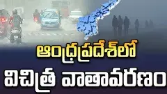 ఆంధ్రప్రదేశ్‌లో విచిత్ర వాతావరణం