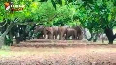 అదిగో ఏనుగు.. ఇక ఆ భయం ఉండదా..?