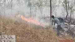 TIRUMALA | శేషాచలంను చుట్టుముట్టిన కార్చిచ్చు..