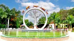 హైదరాబాద్ జూపార్కులో కనువిందు చేయనున్న కొత్త జంతువులు