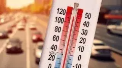 తెలంగాణలో ఎండల ధాటికి మృత్యువాతపడుతున్న ప్రజలు