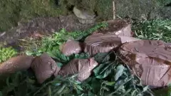 అడవుల్లో ఉగ్రవాదుల రహస్య స్థావరాన్ని కనుగొన్న భద్రతా బలగాలు