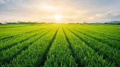 ‘రైతుల ముంగిటకు శాస్త్రవేత్తలు’ టార్గెట్ ఏంటి..?