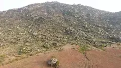 నీళ్లు లేక ఎండిపోయిన బోడి కొండలు...పచ్చబడ్డాయి