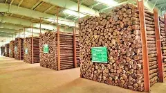 ఎర్రచందనం నిల్వలపై సీఎంకు అనుమానం ఎందుకొచ్చింది?