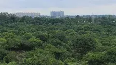 సుప్రీం ఆదేశాలతో కంచ గచ్చిబౌలిలో ప్లాంటేషన్‌కు అటవీశాఖ ప్రణాళిక